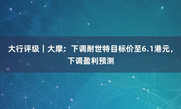 大行评级｜大摩：下调耐世特目标价至6.1港元，下调盈利预测