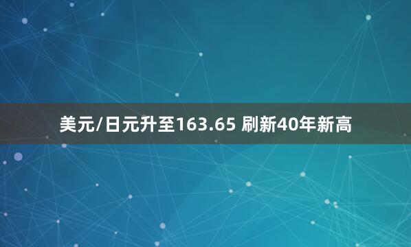 美元/日元升至163.65 刷新40年新高