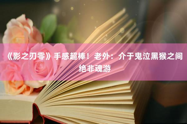 《影之刃零》手感超棒！老外：介于鬼泣黑猴之间 绝非魂游