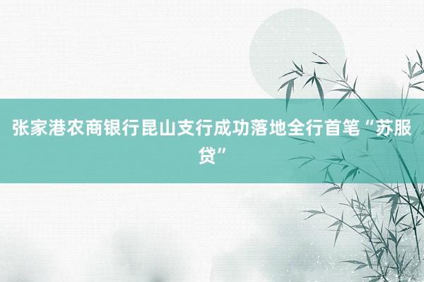 张家港农商银行昆山支行成功落地全行首笔“苏服贷”