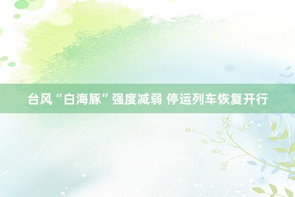 台风“白海豚”强度减弱 停运列车恢复开行