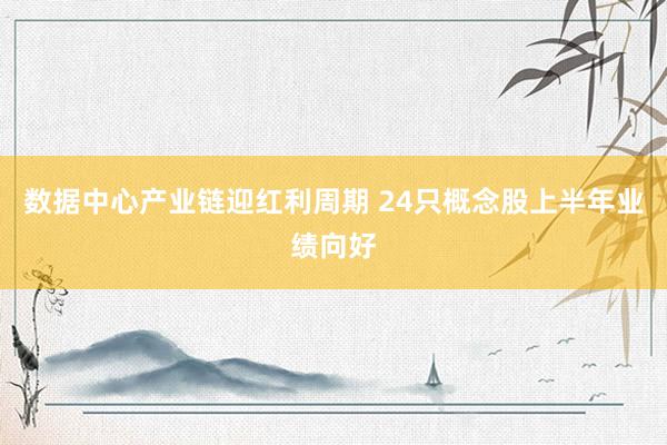 数据中心产业链迎红利周期 24只概念股上半年业绩向好