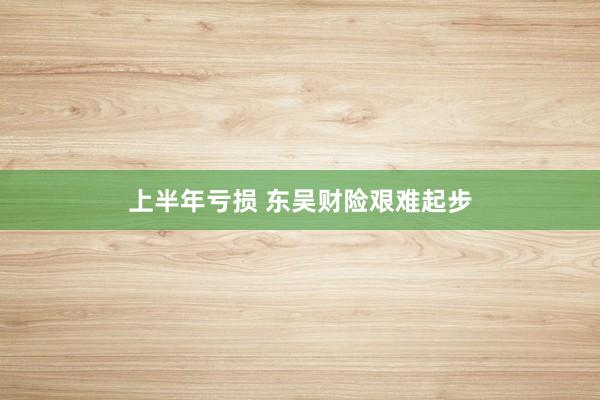 上半年亏损 东吴财险艰难起步