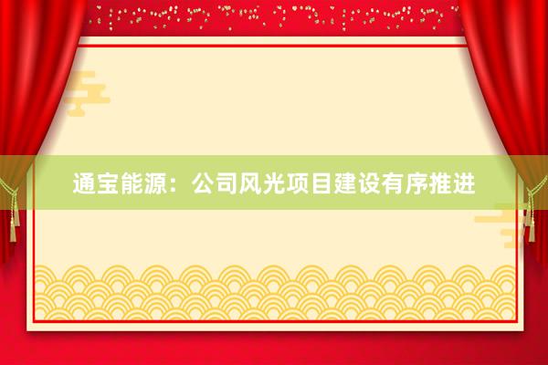 通宝能源：公司风光项目建设有序推进
