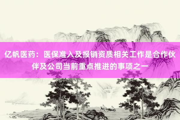 亿帆医药：医保准入及报销资质相关工作是合作伙伴及公司当前重点推进的事项之一