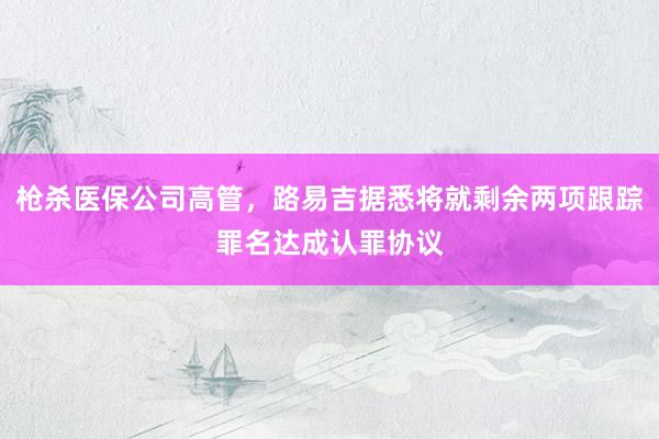 枪杀医保公司高管，路易吉据悉将就剩余两项跟踪罪名达成认罪协议