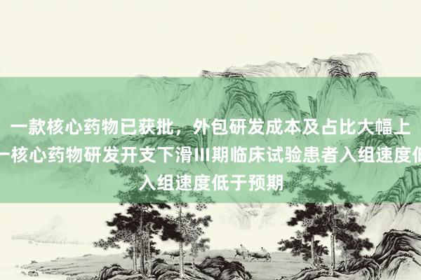 一款核心药物已获批，外包研发成本及占比大幅上升，另一核心药物研发开支下滑Ⅲ期临床试验患者入组速度低于预期