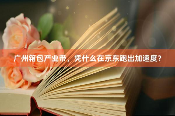 广州箱包产业带，凭什么在京东跑出加速度？