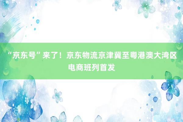 “京东号”来了！京东物流京津冀至粤港澳大湾区电商班列首发