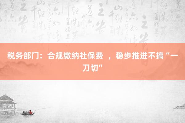 税务部门：合规缴纳社保费  ，稳步推进不搞“一刀切”
