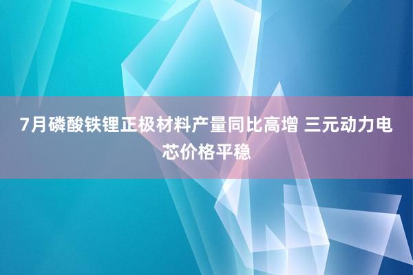 7月磷酸铁锂正极材料产量同比高增 三元动力电芯价格平稳