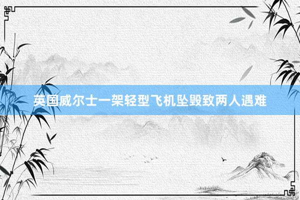 英国威尔士一架轻型飞机坠毁致两人遇难