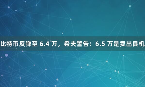 比特币反弹至 6.4 万，希夫警告：6.5 万是卖出良机