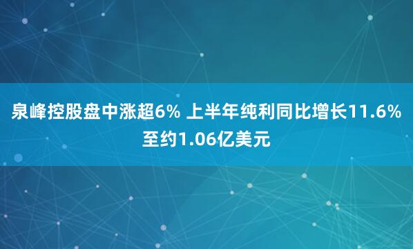 泉峰控股盘中涨超6% 上半年纯利同比增长11.6%至约1.06亿美元