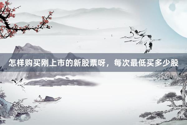 怎样购买刚上市的新股票呀，每次最低买多少股