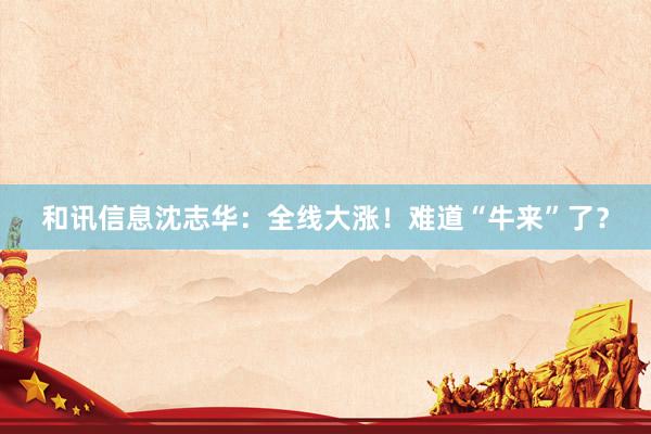 和讯信息沈志华：全线大涨！难道“牛来”了？