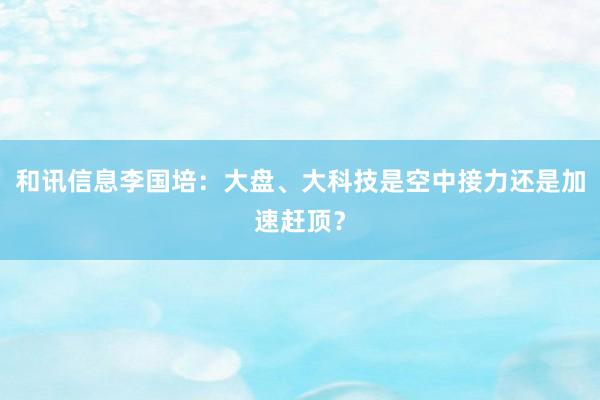 和讯信息李国培：大盘、大科技是空中接力还是加速赶顶？