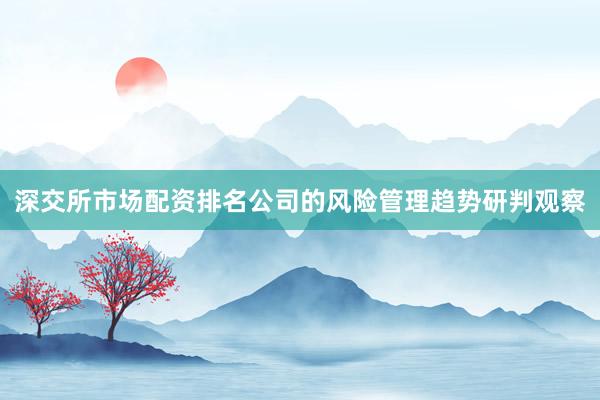 深交所市场配资排名公司的风险管理趋势研判观察