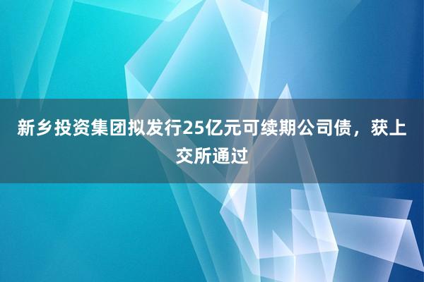 新乡投资集团拟发行25亿元可续期公司债，获上交所通过