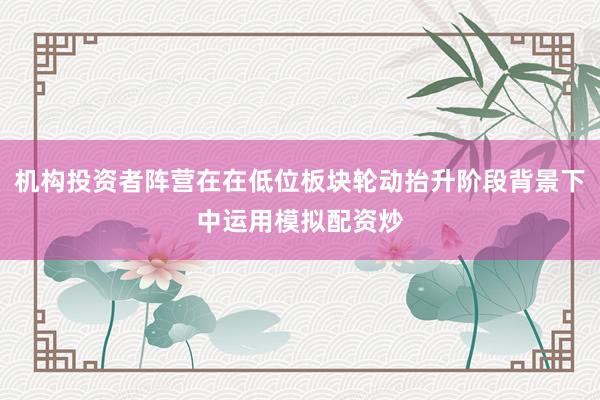 机构投资者阵营在在低位板块轮动抬升阶段背景下中运用模拟配资炒