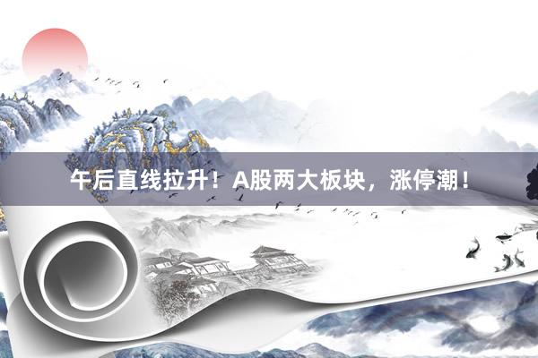 午后直线拉升！A股两大板块，涨停潮！