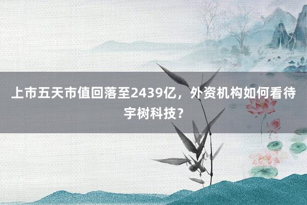 上市五天市值回落至2439亿，外资机构如何看待宇树科技？