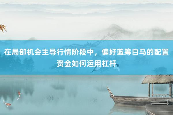 在局部机会主导行情阶段中，偏好蓝筹白马的配置资金如何运用杠杆