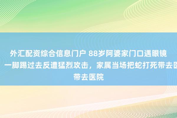 外汇配资综合信息门户 88岁阿婆家门口遇眼镜蛇，一脚踢过去反遭猛烈攻击，家属当场把蛇打死带去医院
