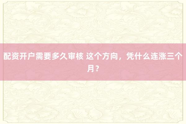 配资开户需要多久审核 这个方向,凭什么连涨三个月?