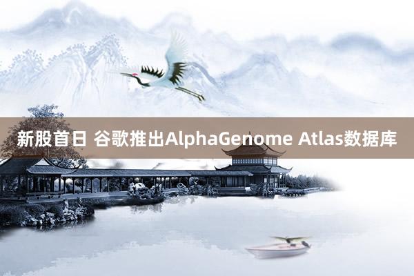 新股首日 谷歌推出AlphaGenome Atlas数据库