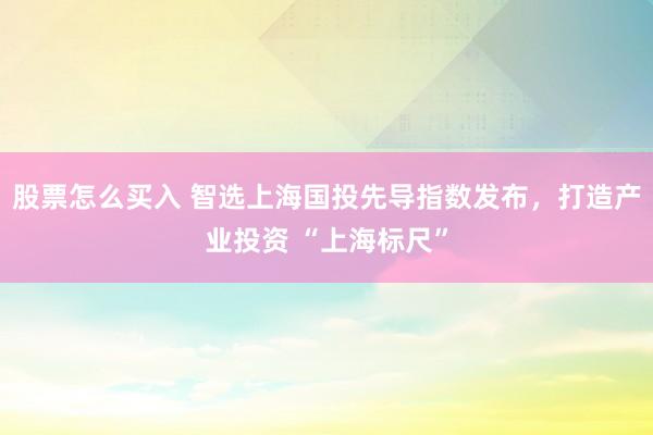 股票怎么买入 智选上海国投先导指数发布，打造产业投资 “上海标尺”
