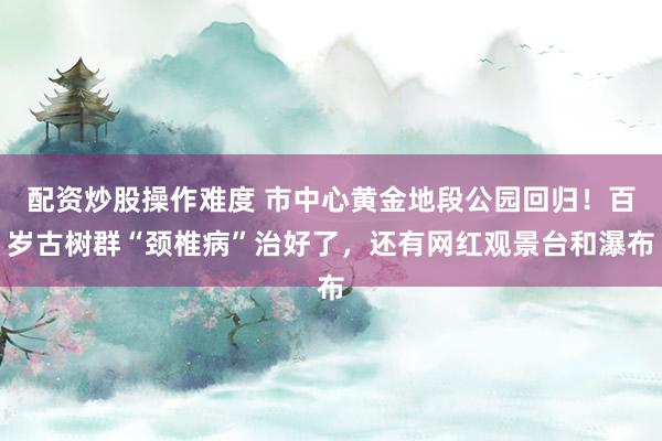 配资炒股操作难度 市中心黄金地段公园回归！百岁古树群“颈椎病”治好了，还有网红观景台和瀑布