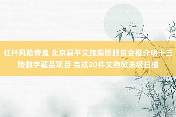 杠杆风险管理 北京昌平文旅集团服贸会推介明十三陵数字藏品项目 完成20件文物微米级扫描