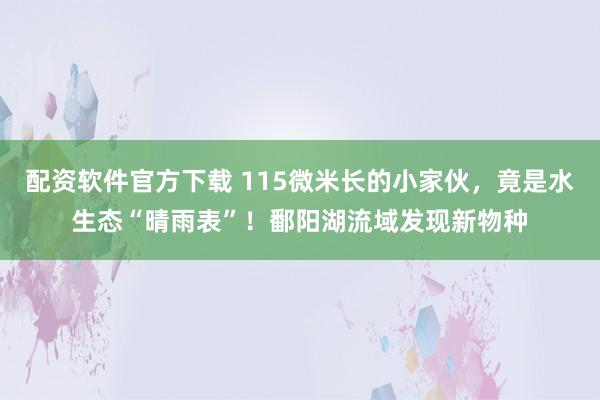 配资软件官方下载 115微米长的小家伙,竟是水生态“晴雨表”!鄱阳湖流域发现新物种