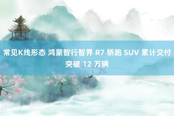 常见K线形态 鸿蒙智行智界 R7 轿跑 SUV 累计交付突破 12 万辆