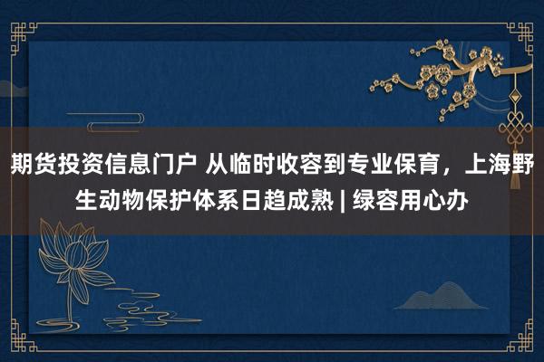 期货投资信息门户 从临时收容到专业保育，上海野生动物保护体系日趋成熟 | 绿容用心办