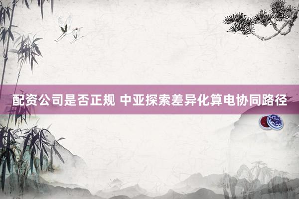 配资公司是否正规 中亚探索差异化算电协同路径