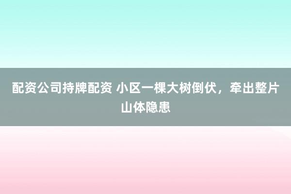 配资公司持牌配资 小区一棵大树倒伏，牵出整片山体隐患