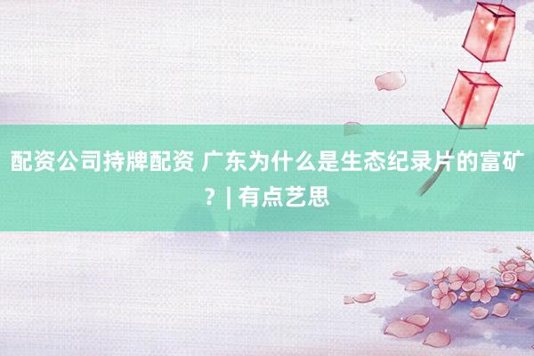 配资公司持牌配资 广东为什么是生态纪录片的富矿？| 有点艺思